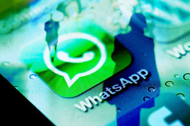 track WhatsApp messages